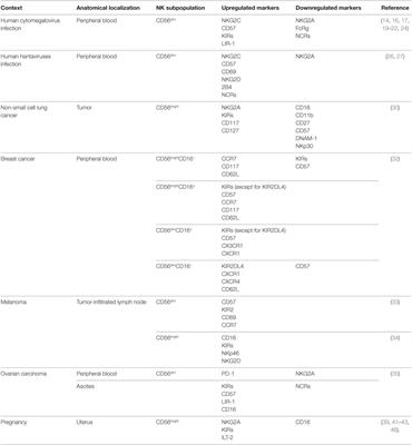 Human NK Cell Subsets in Pregnancy and Disease: Toward a New Biological Complexity